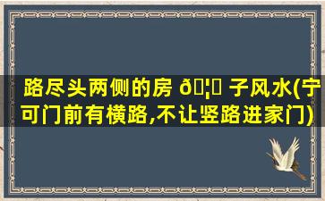 路尽头两侧的房 🦄 子风水(宁可门前有横路,不让竖路进家门)